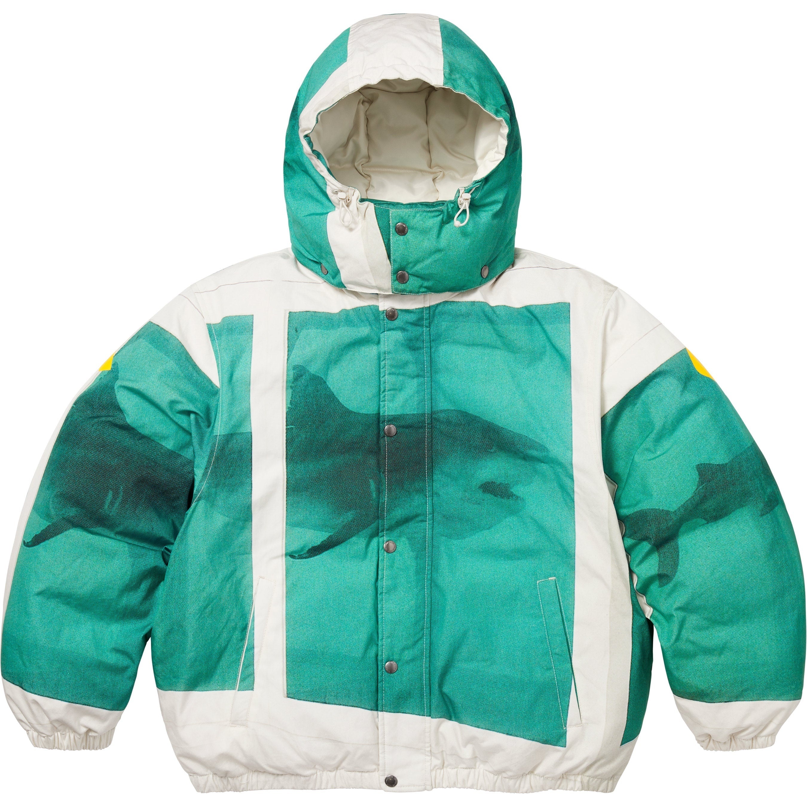 Supreme/Damien Hirst Down Puffer Jacket view 2